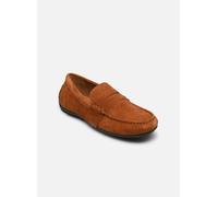 Polo Ralph Lauren REYNOLD-CASUAL SHOE-DRIVER 43 Marrón