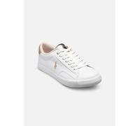 Polo Ralph Lauren THERON V 38 Blanco