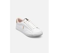 Polo Ralph Lauren THERON V 40 Blanco