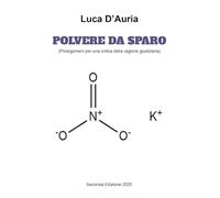 Polvere da sparo (prolegomeni per una critica della ragione giudiziaria)