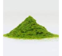 Polvo de hierba de nylon modelo ferroviario 500g 3mm para follaje natural y cobertura de base de diorama (30g)