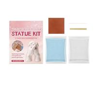 Polvo de moldeo de resina ecológica, 100 g de activación acuosa y endurecimiento rápido | Kit de polvo de reproducción para resina epoxi - para escultura de manos principiantes parejas familia