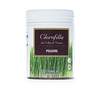 Polvo de pasto de trigo orgánico de clorofila
