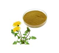 Polvo de raíz de diente de león para el apetito, malestar estomacal, hierba en polvo HerbsnSpiceit (50 g)