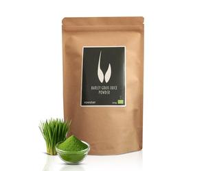 Polvo de zumo de hierba de cebada ecológico | Premium certificada, 100% soluble, polvo alcalino | Barley Grass Juice Powder | rawster (200 g)