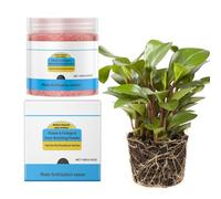 Polvo Enraizante - Fertilizante Nutritivo Rápido para Plantas 100 g,Fertilizante Potenciador de Raíces para Flor y Follaje - para Exterior Interior Macetas Árboles Bonsái Verduras