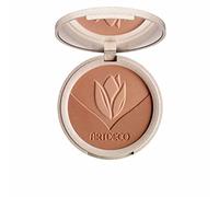 Artdeco Natural Skin Bronzer #Bronzing Hues