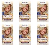 Poly Palette Vital Color Intensive - Tinte para el cabello (6 unidades, 10-11, rubio plateado, aspecto natural y duradero, coloración permanente también en cabellos blancos, 115 ml)