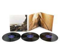 Polygon Window - Surfing on Sine Waves [Vinilo]