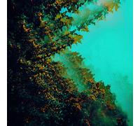 Polymoon - Caterpillars of creation [Vinilo]