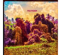 Polymoon - Chrysalis