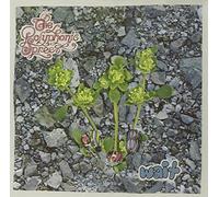 Polyphonic Spree - Wait