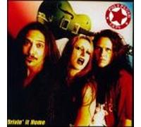 Polyplush Cats - Drivin It Home