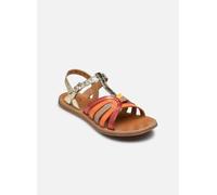 Pom d Api PLAGE CURV STRIPES 38 Oro y bronce