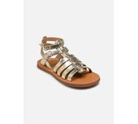Pom d Api PLAGETTE GLADIATOR 26 Oro y bronce