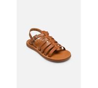 Pom d Api Plagette Strap 26 Marrón