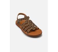 Pom d Api Plagette Strap 31 Marrón