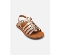 Pom d Api Plagette Strap 36 Rosa