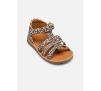 Pom d Api POPPY STRAP 19 Marrón