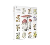 Pomegranate Rompecabezas de 1000 piezas de Alexander Viazmensky