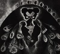 Pomerance,Erica - You Used to Think