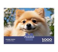 Pomerania Jigsaw Planos cercanos Puzzle Mil Piezas Papel para Entusiastas - Resistente A Doblar Ocio Decoración Hogar Desafiante 52x38cm/1000pcs