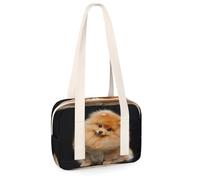 Pomeranian Dog - Pequeñas bolsas de lona deportivas para perro, minibolsa de gimnasio, ligera, casual, bolsa organizadora de viaje para niños, niñas, niños, mujeres y hombres