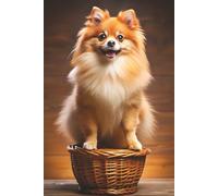 Pomeranian Notebook: Cute Dog Lover’s Journal for Everyday Writing: A 6x9 Glossy Notebook with 100 Lined Dog Theme Pages - Perfect for Anyone Who Loves Pomeranian Dogs