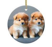 Pomeranians Puppies and Point 1 Print Funny Round Ceramic Christmas Ornament Pretty Christmas Hanging Tree Pendant Decor for Holiday Party