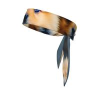 Pomeranians Puppies and Point Print Sport Head Ties Headbands Bandanas Bandanas Entrenamiento Banda para el Cabello Atlético para Correr Tenis