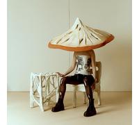 Pomme – consolation – Vinilo – Importación USA