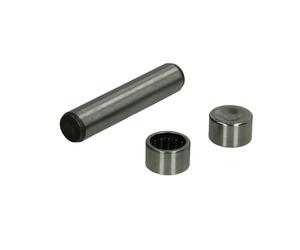 Pomo de palanca de cambios AUGER 55799