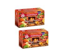 Pompadour | Infusión Magia de Invierno | Mezcla Hierbas con Canela, Naranja, Rosa Mosquetona, Manzana - 2 x 20 Filtros | Infusión de Hierbas Sin Cafeína en Bolsitas