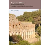 Pompei, Terme del Sarno: diagnostica sperimentale e indagini strutturali per la conservazione (Studi preliminari per il progetto di valorizzazione del complesso delle Terme del Sarno a Pompei)