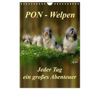 PON-Welpen - jeder Tag ein großes Abenteuer / Planer (Wandkalender 2026 DIN A4 hoch), CALVENDO Monatskalender: PON-Welpen - einzigartige, sehr intelligente "Teddybären" mit unstillbarem Spieltrieb