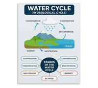 Pond Lake Ecosystems Poster Water Cycle Education