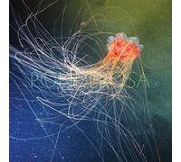 Ponderosa - Pool Party [Vinilo]