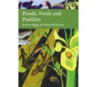 Ponds Pools And Puddles