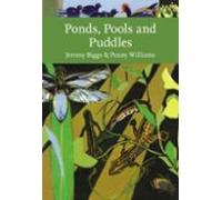 Ponds Pools And Puddles