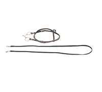 Pongnas Brida de Caballo de Piel de Vaca de Primera Calidad con Rienda a Juego - Completamente Inglesa/Cabezal para Caballo y Sangre Caliente - Acolchada y Muserola para Mayor Comodidad Durabilidad