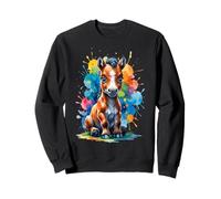 Poni Colorido con Fondo de Salpicaduras artísticas Sudadera