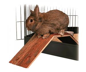 Ponte em Madeira para Gaiola de Coelhos