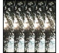 Pontiak Dialectic of Ignorance (Vinyl) 12" Album