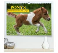 Ponys. Herzensbrecher mit Grips (hochwertiger Premium Wandkalender 2026 DIN A2 quer), Kunstdruck in Hochglanz: Süße Frechdachse mit Löwenherz
