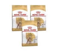 Poodle Adult | Alimento seco para Perros | 3 x 500 g | para caniches +10 m | Royal Canin | Alimento completo | Con proteínas seleccionadas | Paquete de 3