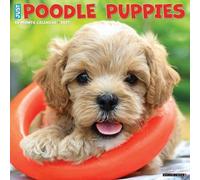 Willow Creek Press, Just Poodle Puppies - Calendario de pared 2027