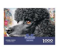 Poodle Rompecabezas para Adultos Una Obra De Arte Que Supone Un Gran Desafío Fascinará A Hombres Y Mujeres (A Partir De 14 Años) 70x50cm/1000pcs
