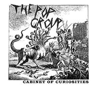 Pop Group the - Cabinet Of Curiosities