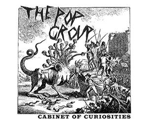 Pop Group the - Cabinet Of Curiosities
