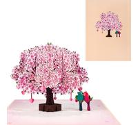 Pop-up Tarjeta de San Valentín,3D Tarjeta de Amor,Tarjeta de Cumpleaños - Pareja de Pájaros